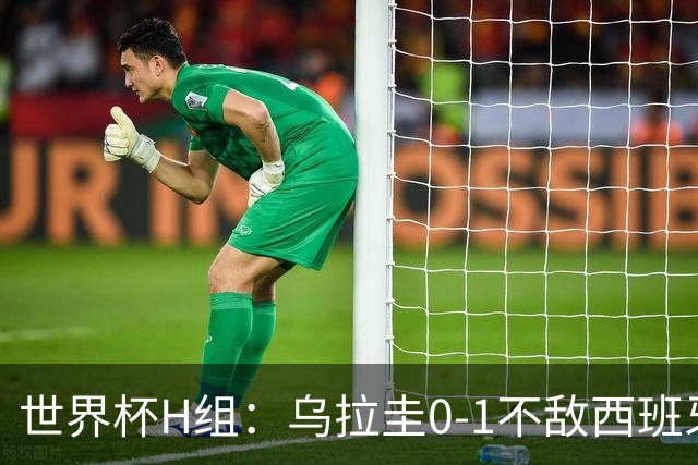 世界杯H组：乌拉圭0-1不敌西班牙 佛得角0-0战平沙特阿拉伯