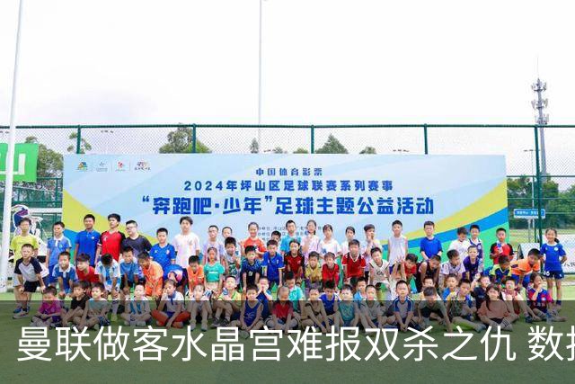 曼联做客水晶宫难报双杀之仇 数据示1-1战平